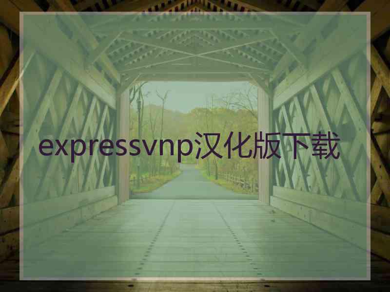 expressvnp汉化版下载