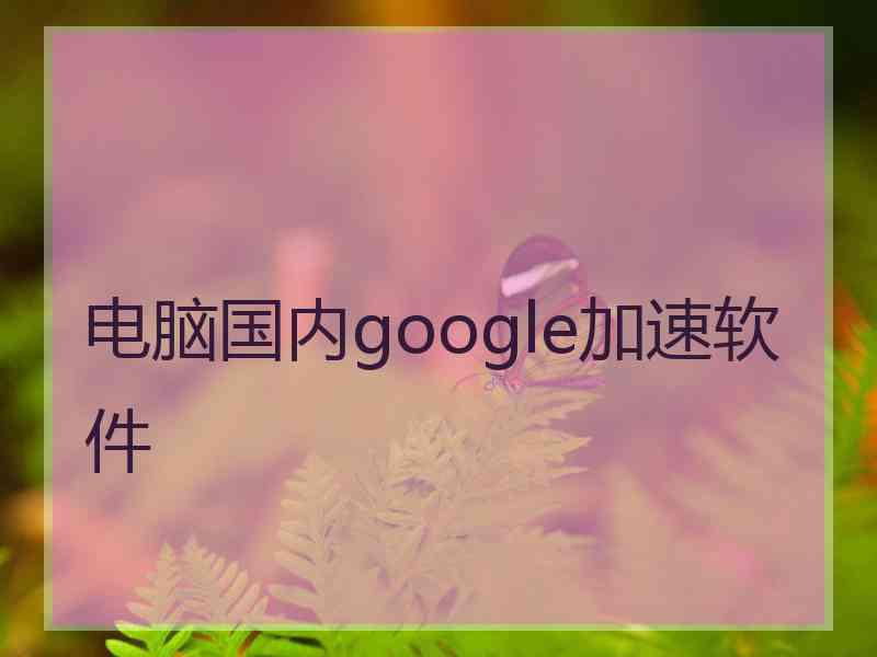 电脑国内google加速软件