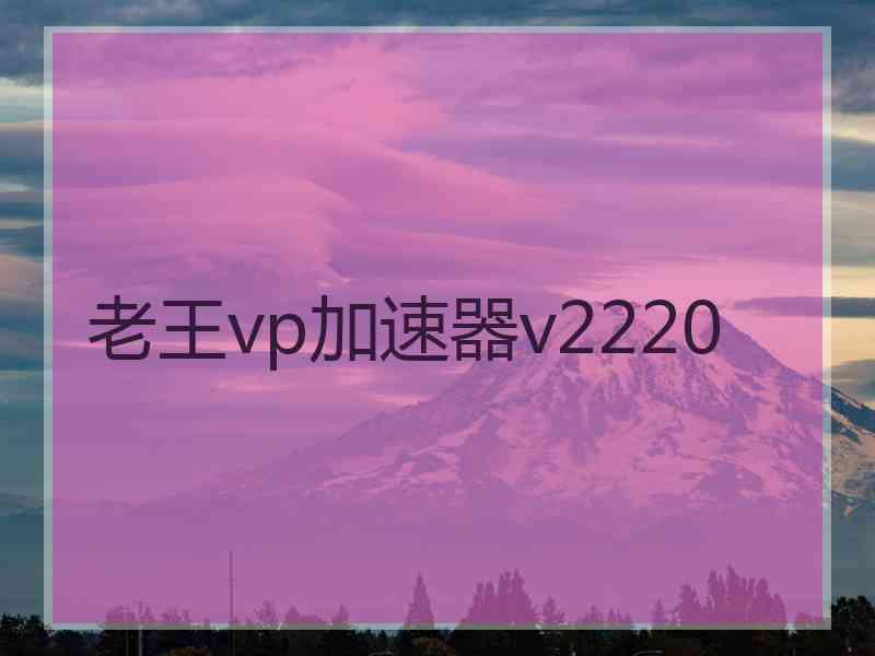 老王vp加速器v2220