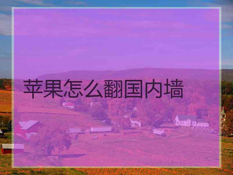 苹果怎么翻国内墙