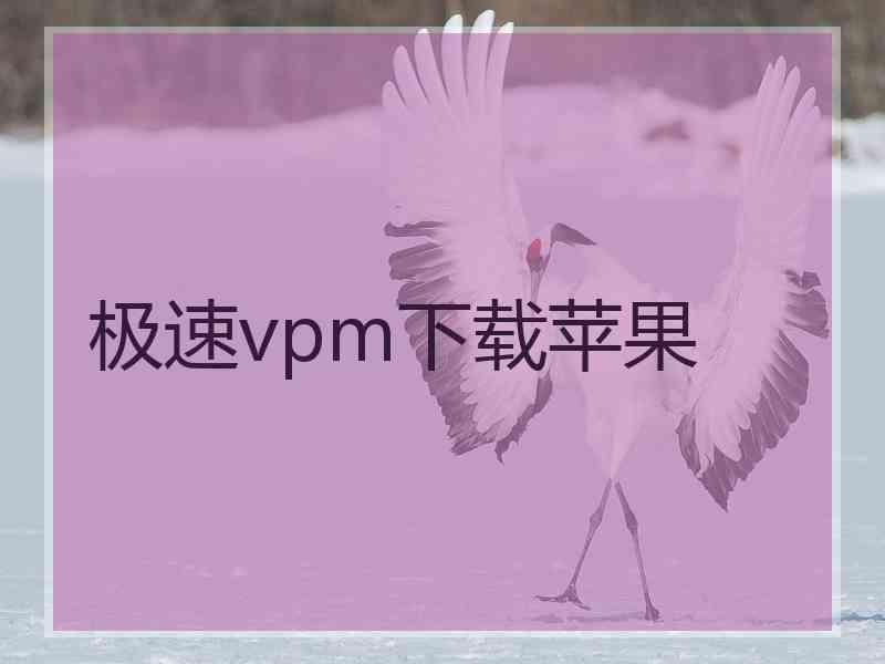 极速vpm下载苹果