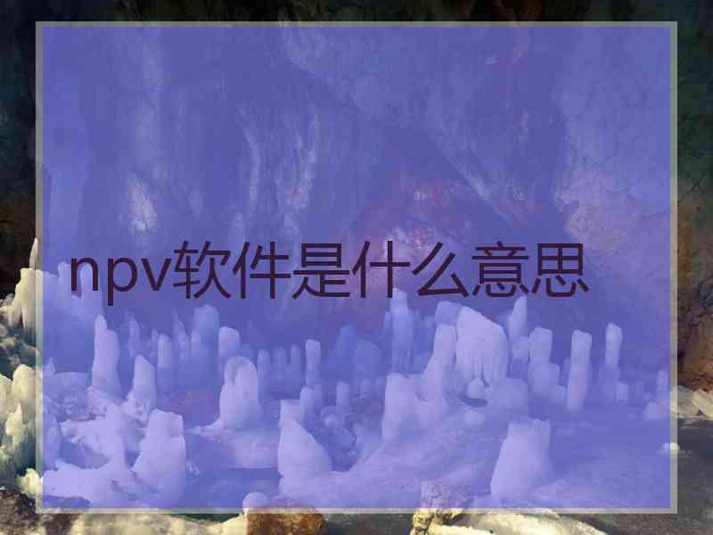 npv软件是什么意思