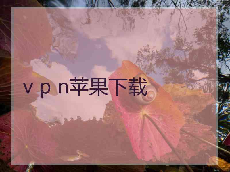 v p n苹果下载