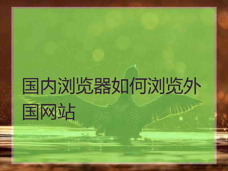 国内浏览器如何浏览外国网站