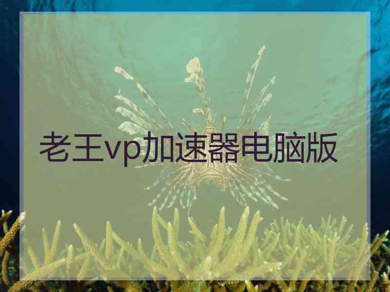 老王vp加速器电脑版