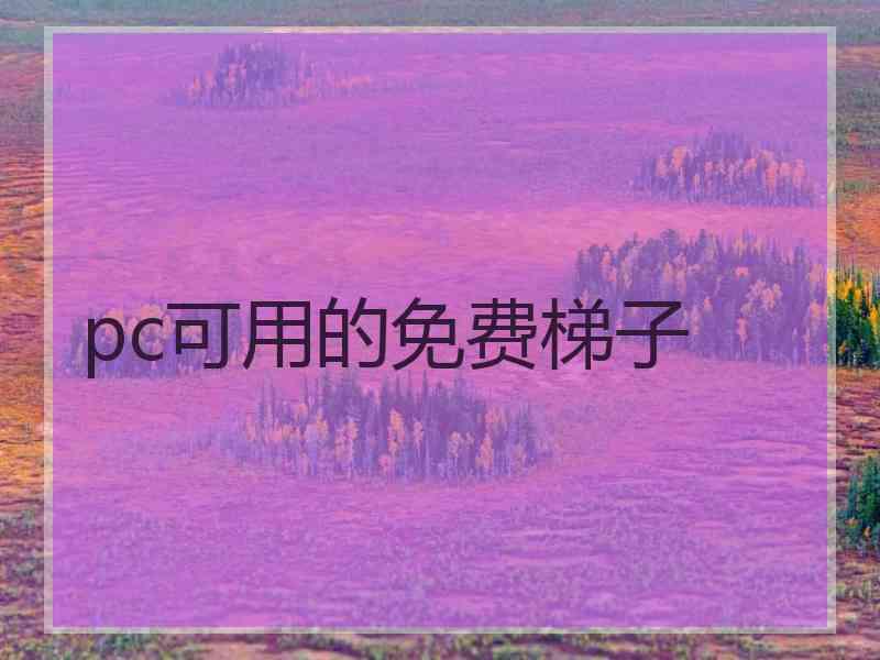 pc可用的免费梯子