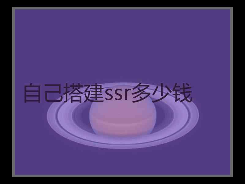 自己搭建ssr多少钱