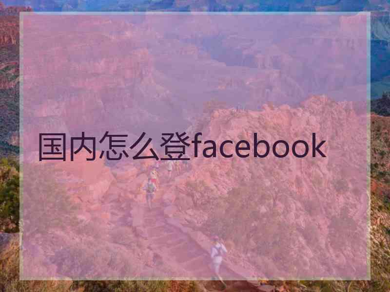 国内怎么登facebook