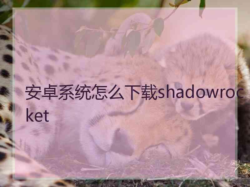 安卓系统怎么下载shadowrocket