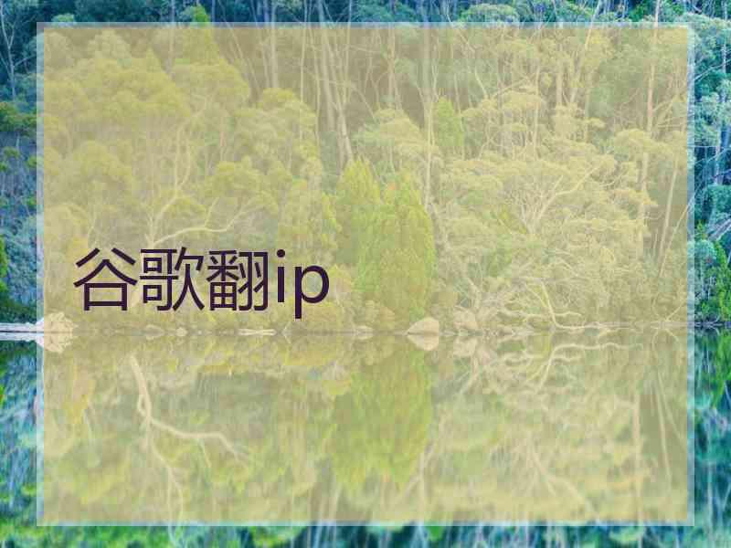 谷歌翻ip