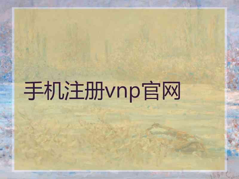 手机注册vnp官网