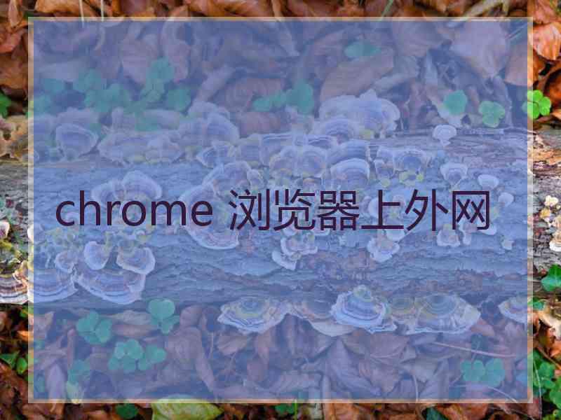 chrome 浏览器上外网