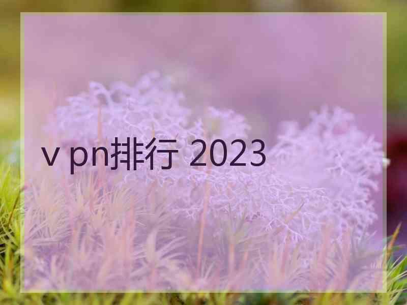 ⅴpn排行 2023