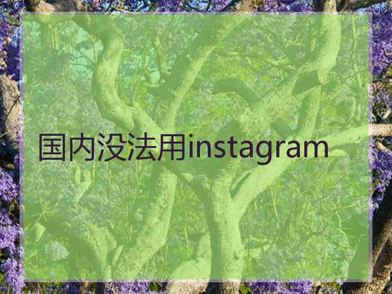 国内没法用instagram