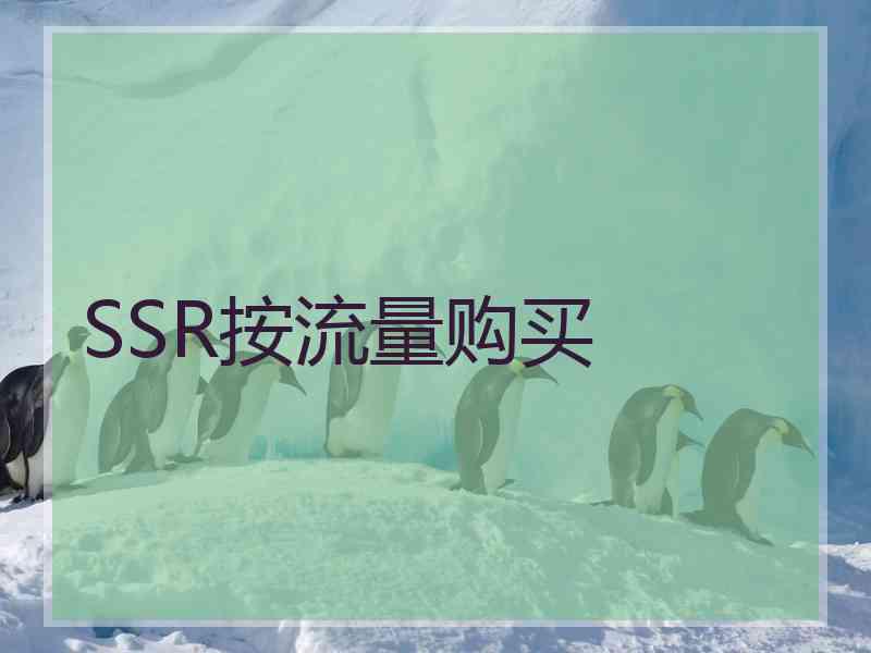 SSR按流量购买