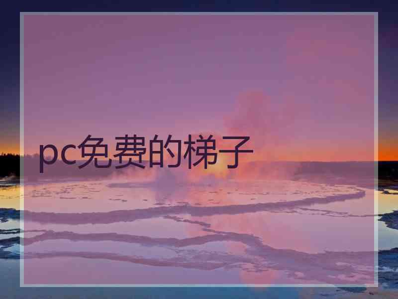 pc免费的梯子