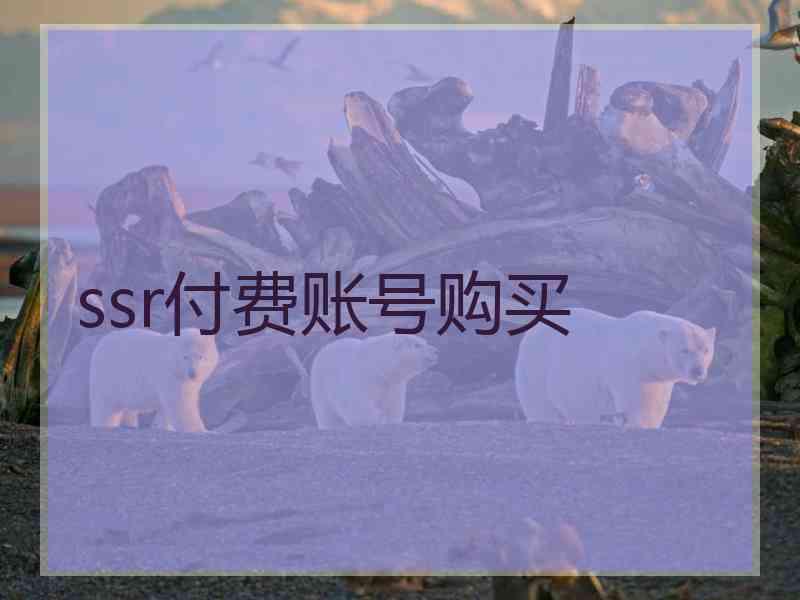 ssr付费账号购买