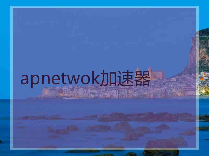 apnetwok加速器