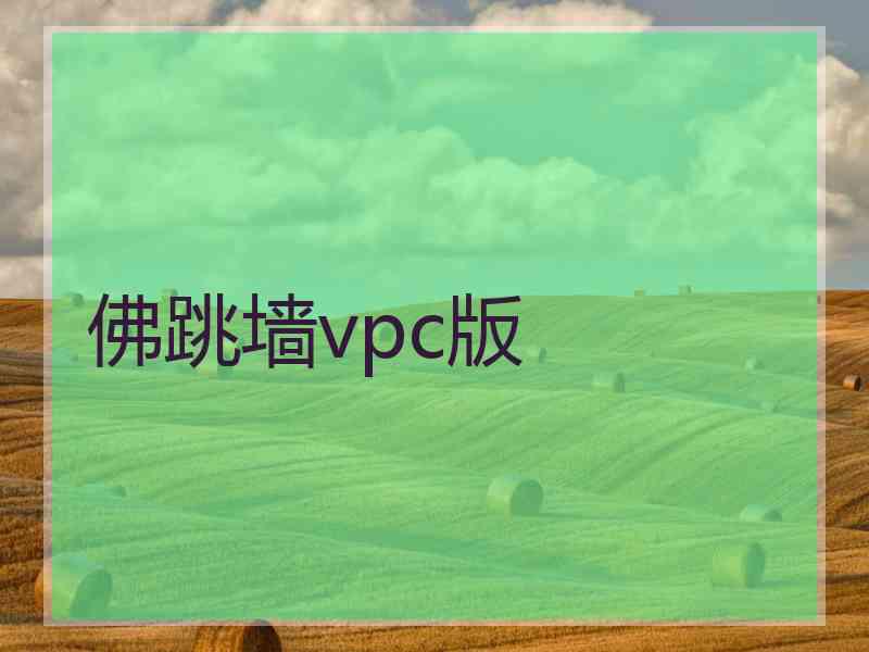 佛跳墙vpc版