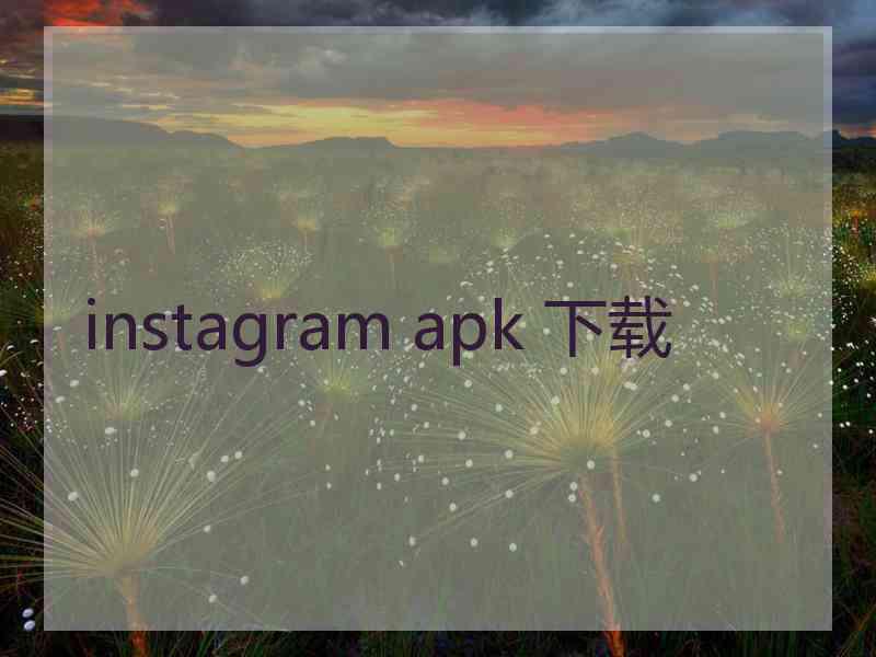 instagram apk 下载