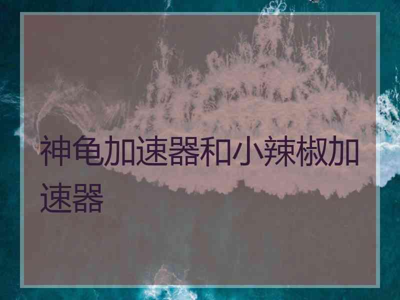 神龟加速器和小辣椒加速器