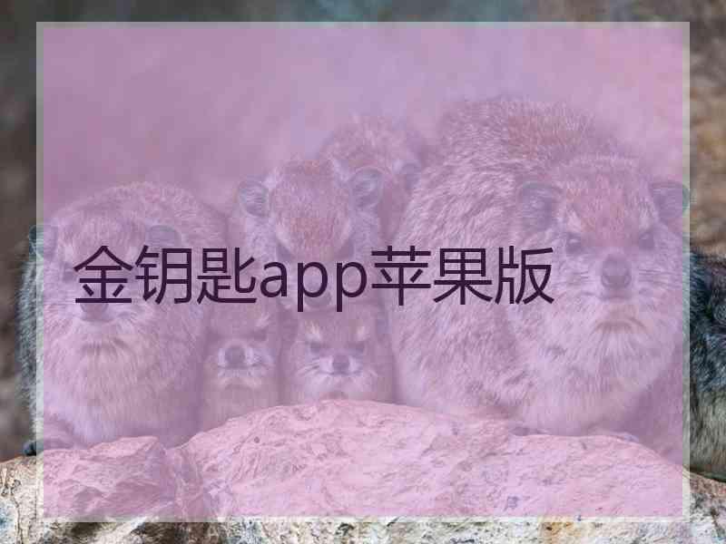 金钥匙app苹果版