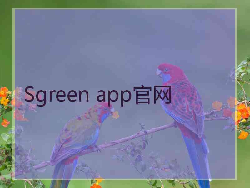 Sgreen app官网