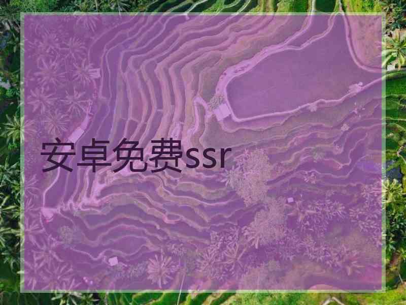 安卓免费ssr