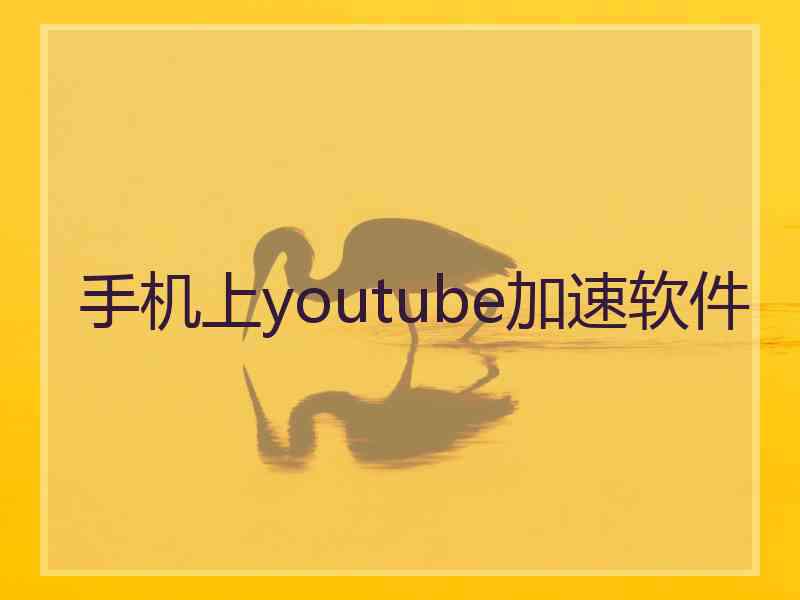 手机上youtube加速软件