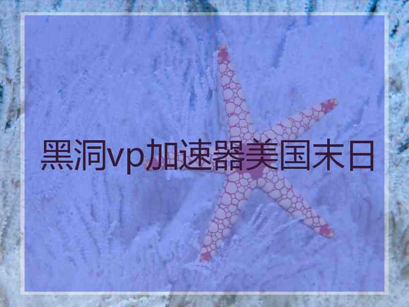 黑洞vp加速器美国末日