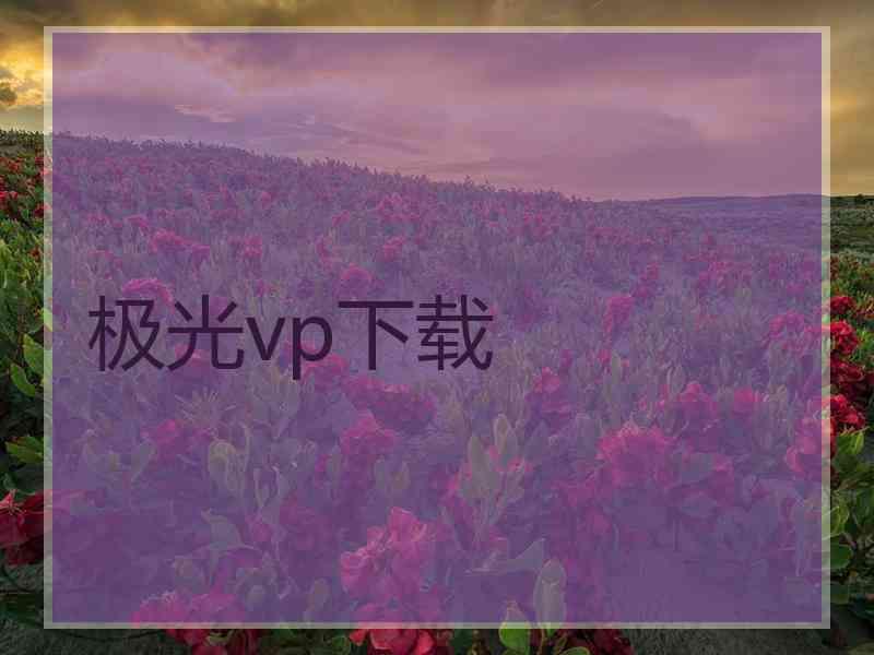 极光vp下载