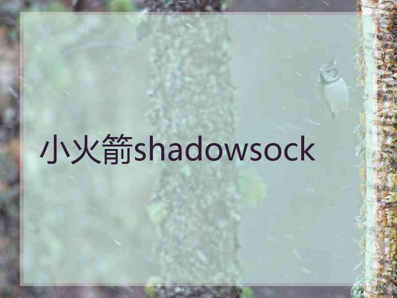 小火箭shadowsock