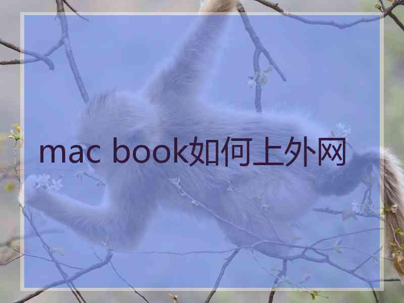 mac book如何上外网