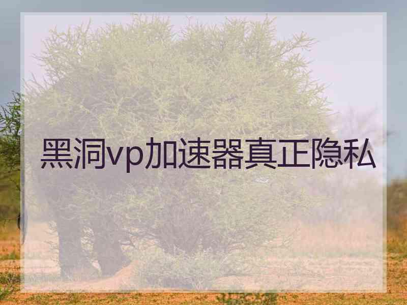 黑洞vp加速器真正隐私