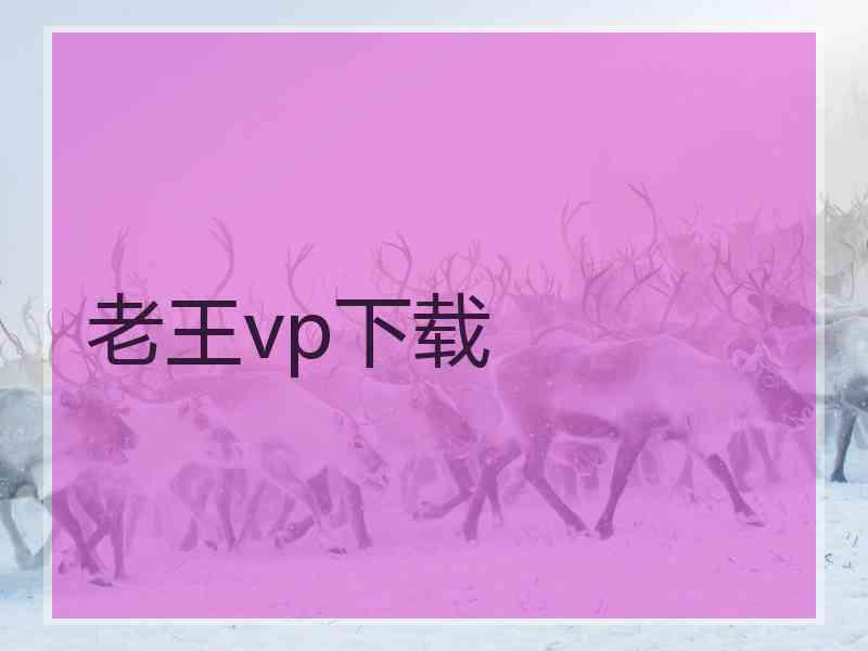 老王vp下载