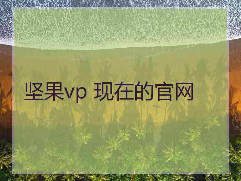 坚果vp 现在的官网