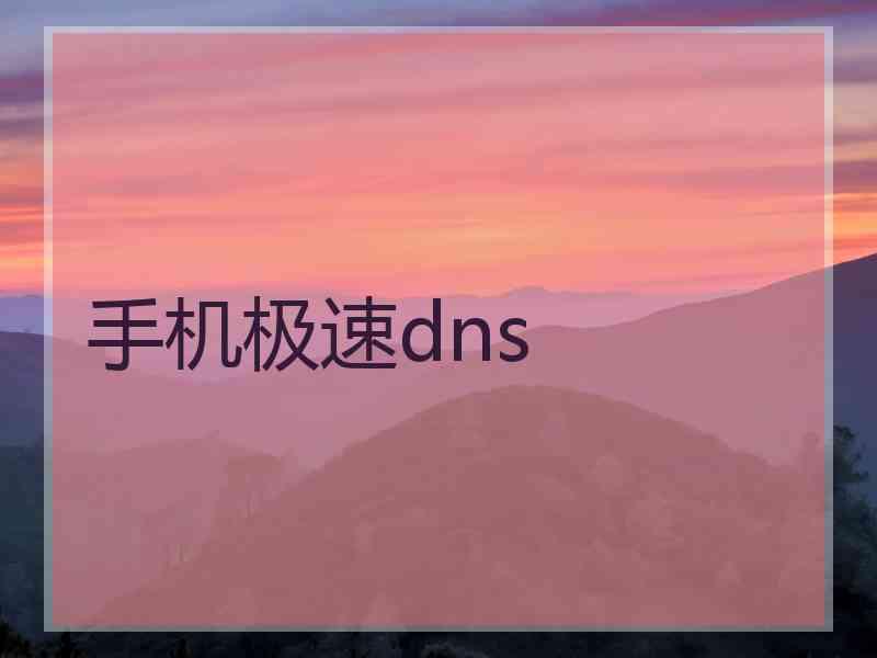 手机极速dns