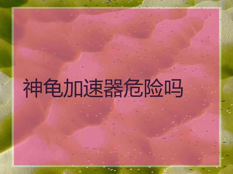 神龟加速器危险吗