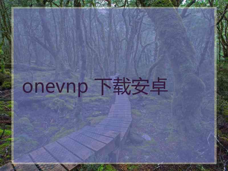 onevnp 下载安卓