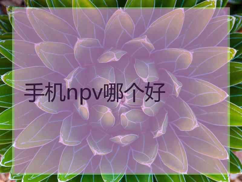 手机npv哪个好