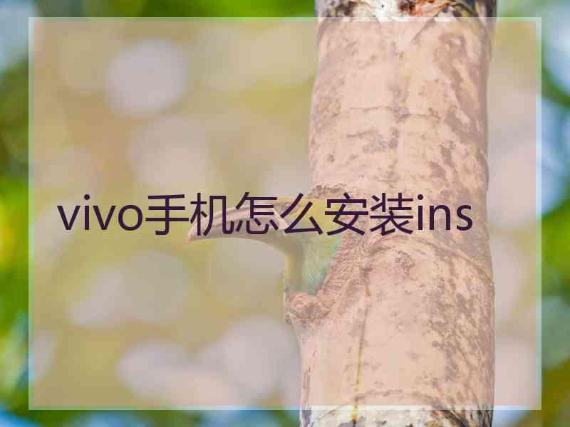 vivo手机怎么安装ins