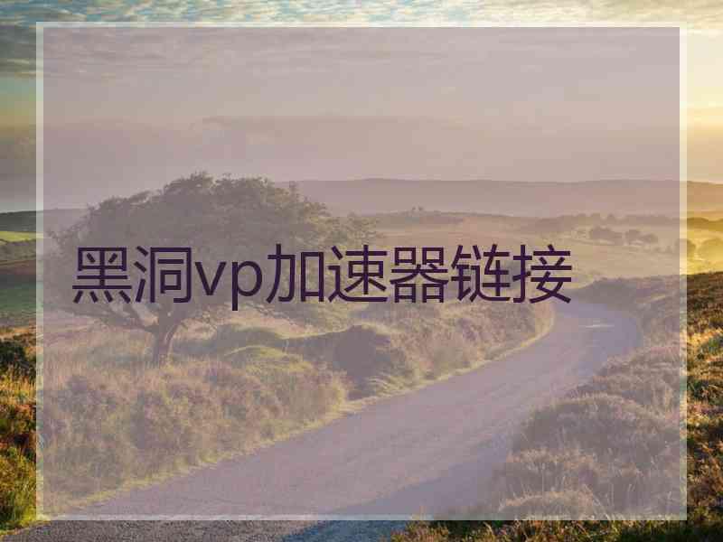 黑洞vp加速器链接