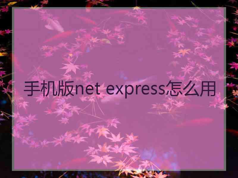 手机版net express怎么用