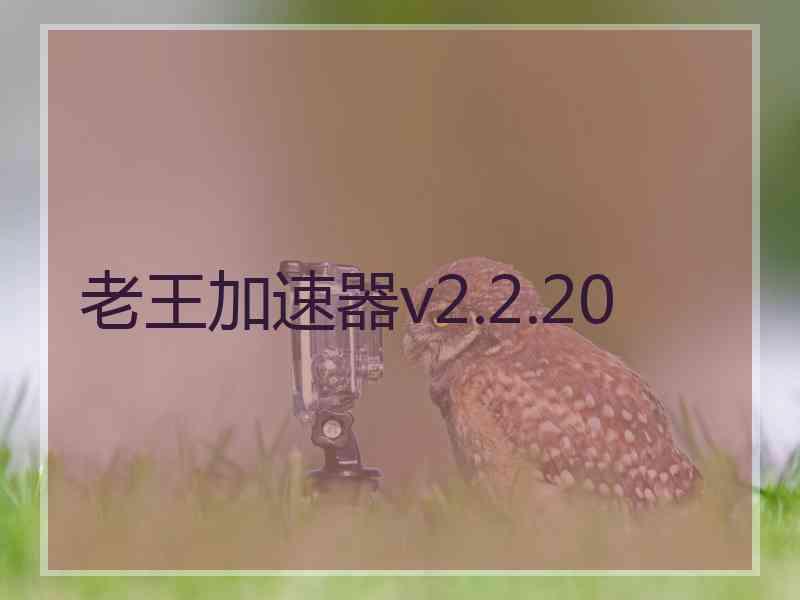 老王加速器v2.2.20