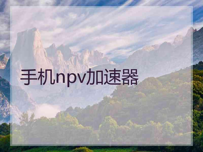 手机npv加速器