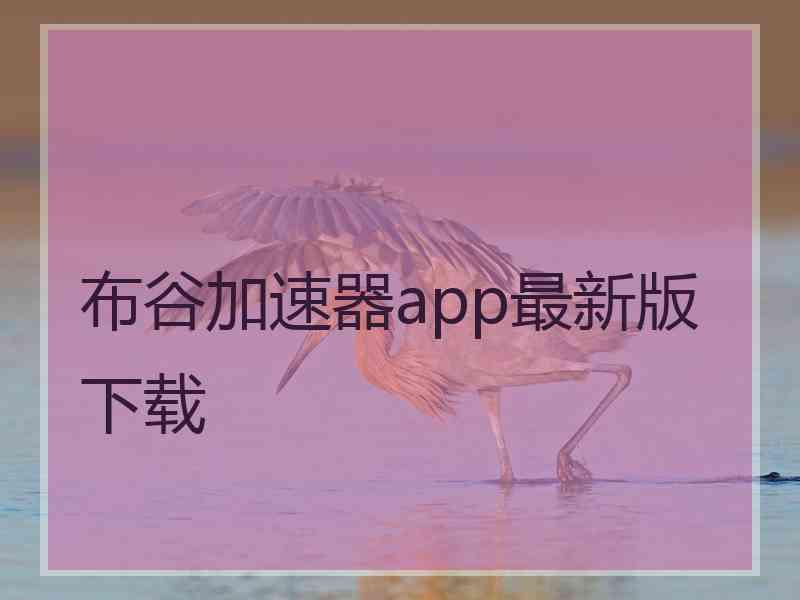 布谷加速器app最新版下载