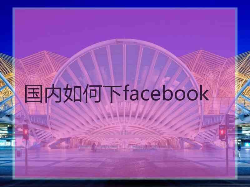 国内如何下facebook