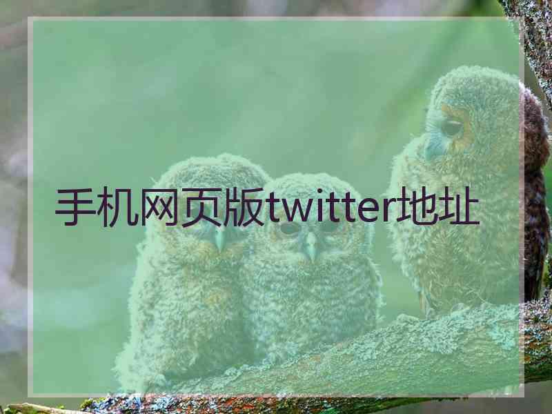 手机网页版twitter地址