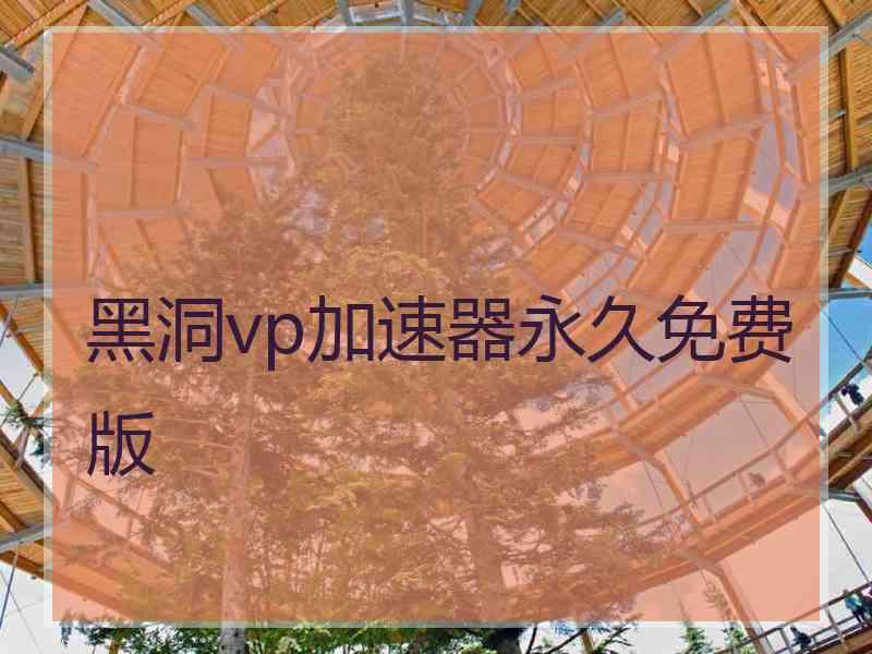 黑洞vp加速器永久免费版