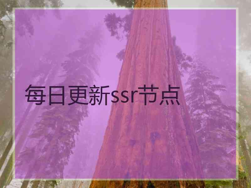 每日更新ssr节点